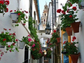 Walking on the Iberian Peninsula, Spanish Portuguese Double Teeth Eleven Day Deep Tour (Spain+Portugal)