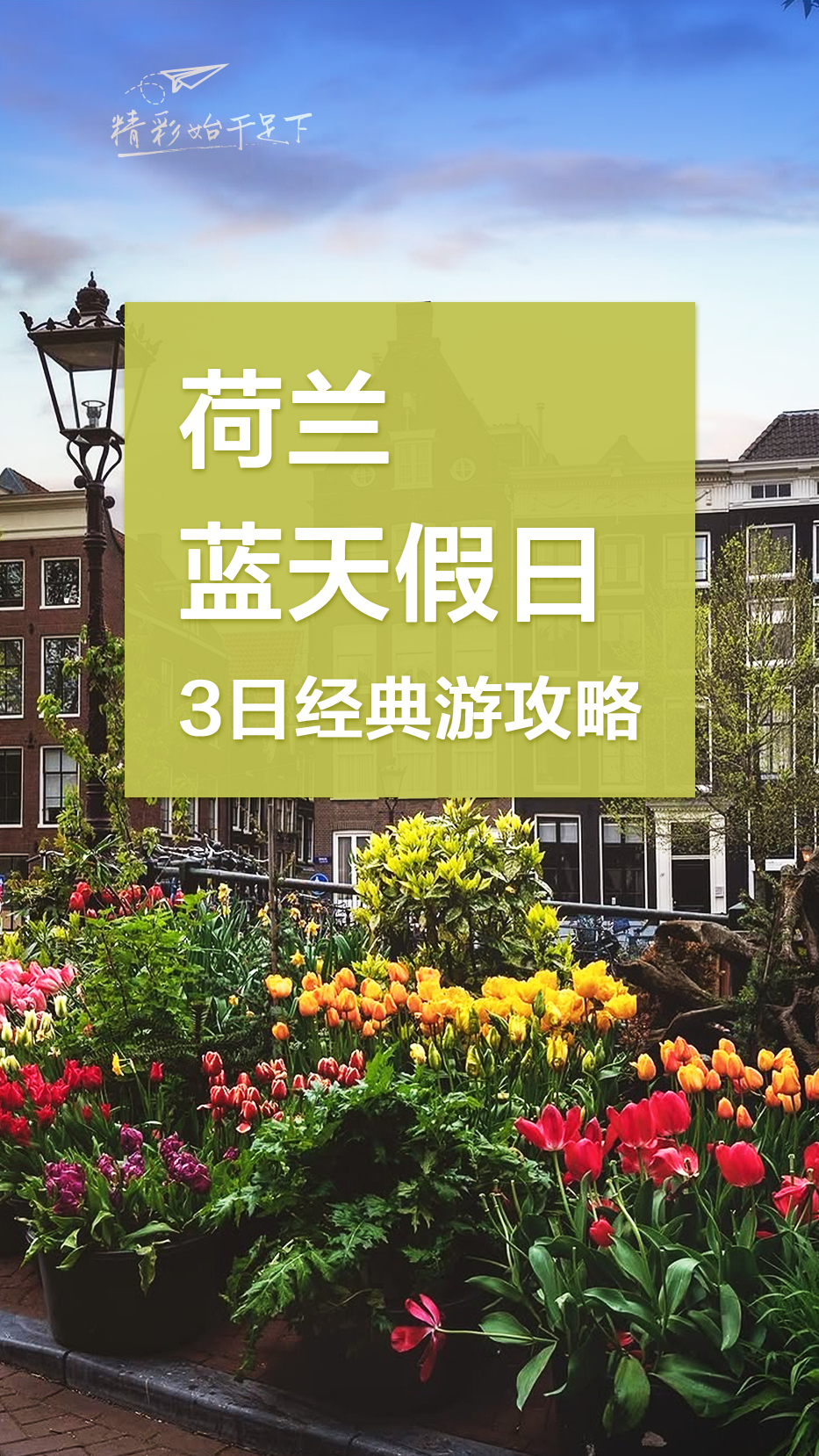 荷兰蓝天假日3日经典游攻略
